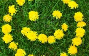 COMPTE RENDU DU SCRAMBLE DE NOVEMBRE