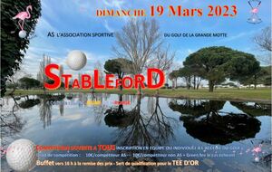 Competitionn AS Stableford