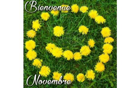 Compte rendu du scramble de novembre