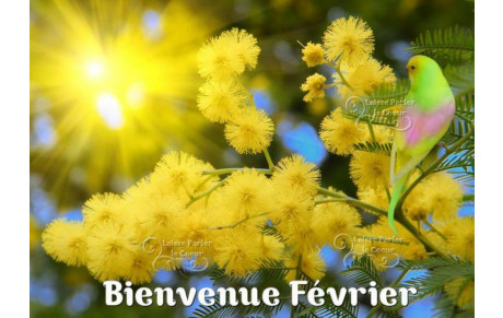 Compte rendu du Scramble de février