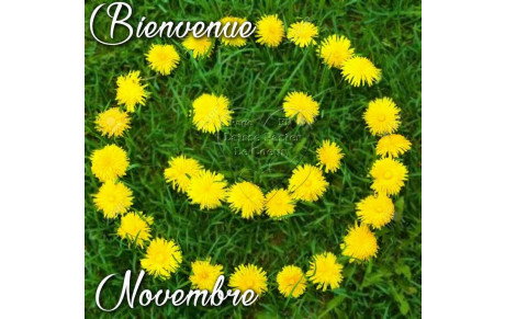 Compte rendu du Scramble mensuel du mercredi 8 novembre