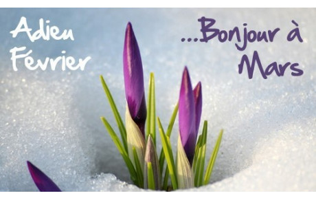 Compte rendu du Scramble du mercredi 6 mars
