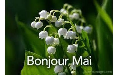 COMPTE RENDU DU SCRAMBLE DE MAI